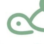 かめどらちゃん